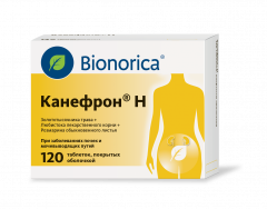 Изображение товара Канефрон H таблетки покрытые оболочкой №120